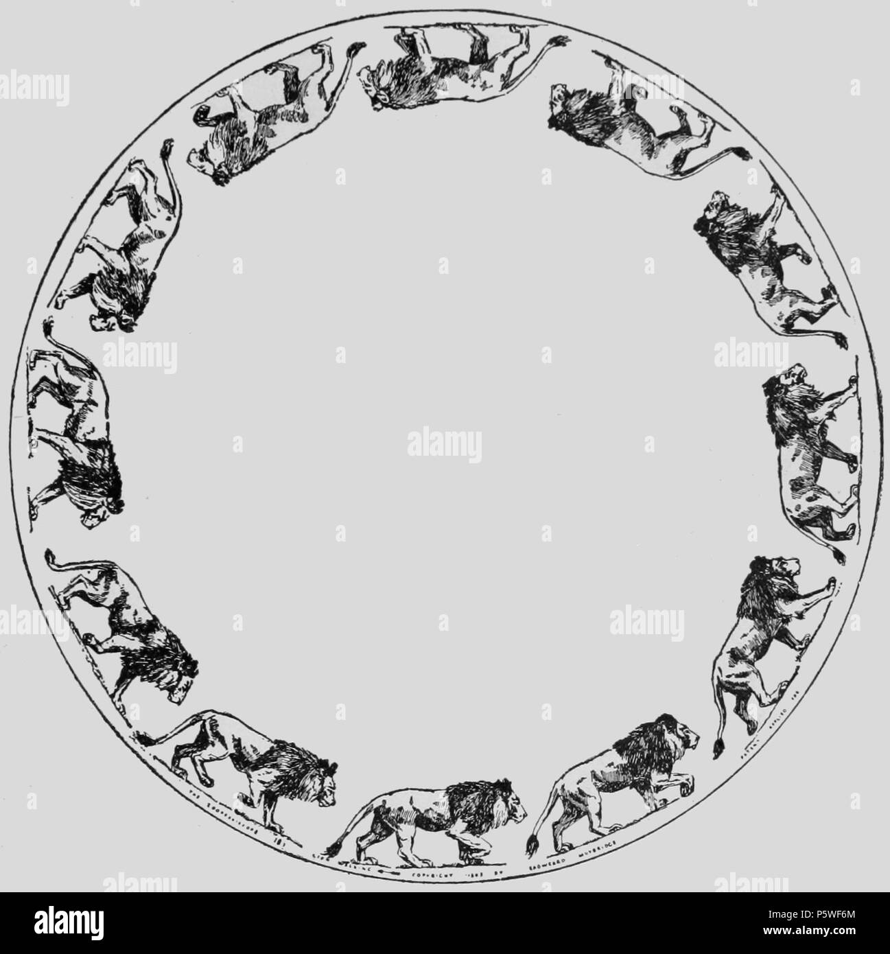 Edward james muybridge hires stock photography and images Alamy