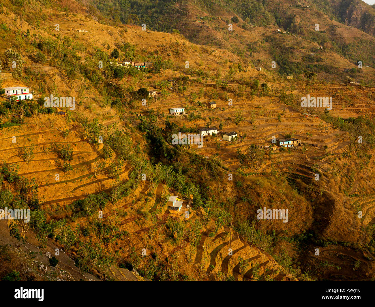 Terraced fields at a remote village on the Nandhour Valley, Kumaon Hills, Uttarakhand, India Stock Photo