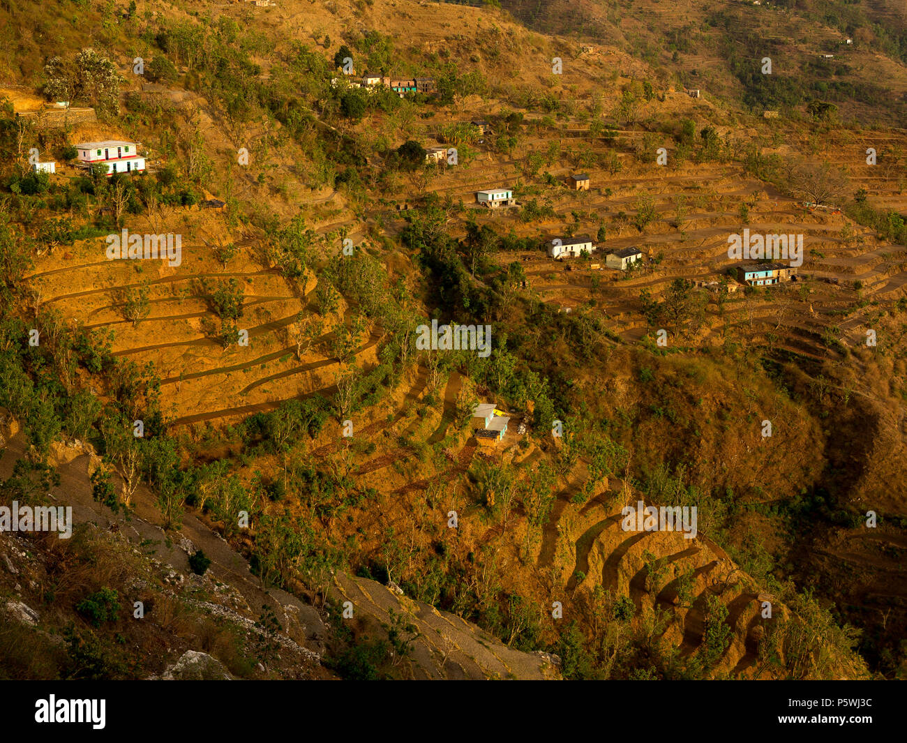 Terraced fields at a remote village on the Nandhour Valley, Kumaon Hills, Uttarakhand, India Stock Photo