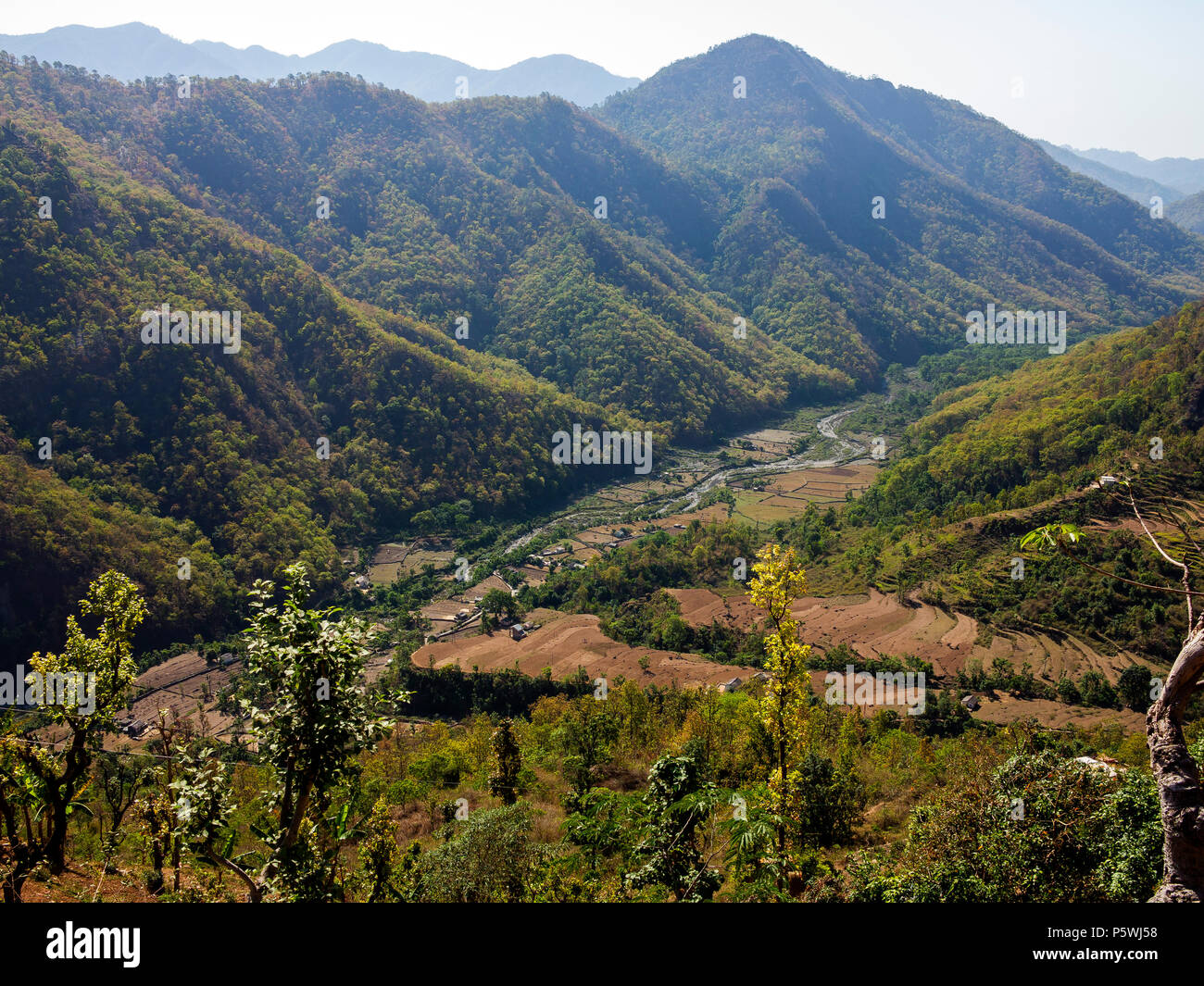 Dense jungle on the remote Nandhour Valley near Kundal Village, Kumaon Hills, Uttarakhand, India Stock Photo