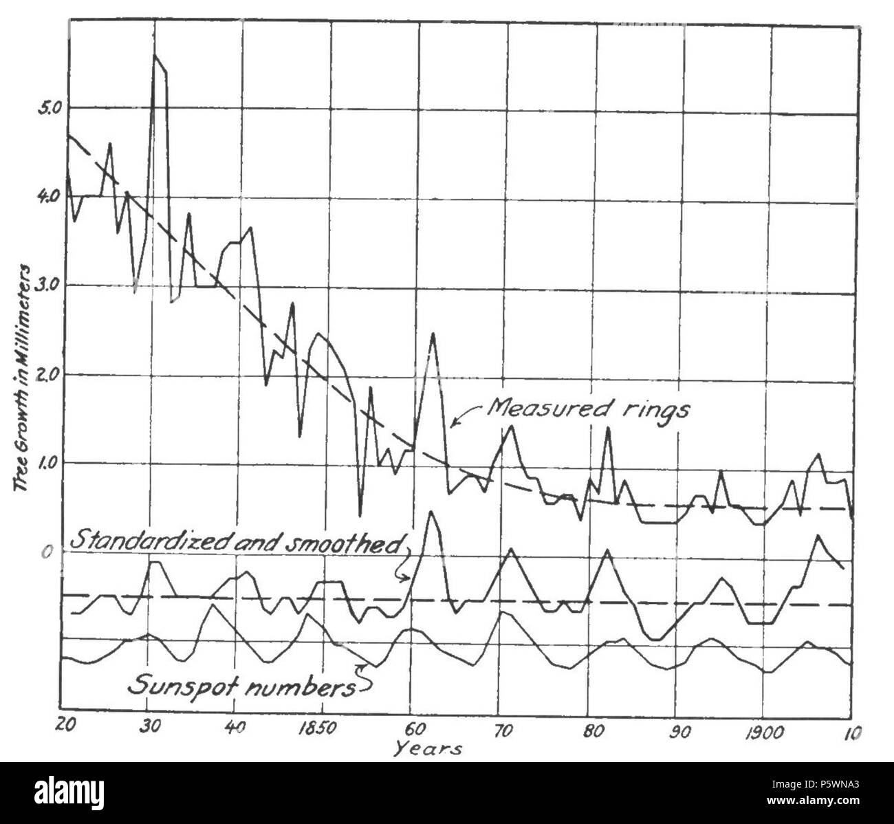 N/A. English: Fig. 22.—Sunspot numbers and annual rings in spruce tree from south Sweden. 1919. Andrew Ellicott Douglass 353 Climatic Cycles and Tree-Growth Fig 22 Stock Photo