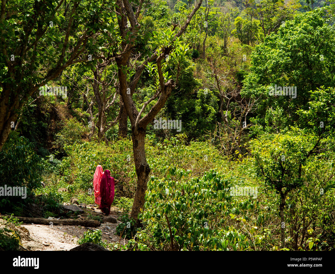 Indian womans in traditional sari at the big ravine where Jim Corbett shot two tigers in 1930 at Kundal Village on Nandhour Valley, Uttarakhand, India Stock Photo