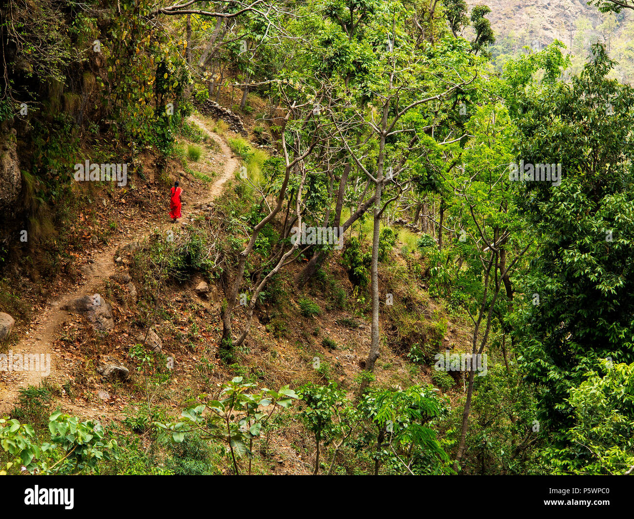 Indian woman in traditional sari at the big ravine where Jim Corbett shot two tigers in 1930 at Kundal Village on Nandhour Valley, Uttarakhand, India Stock Photo