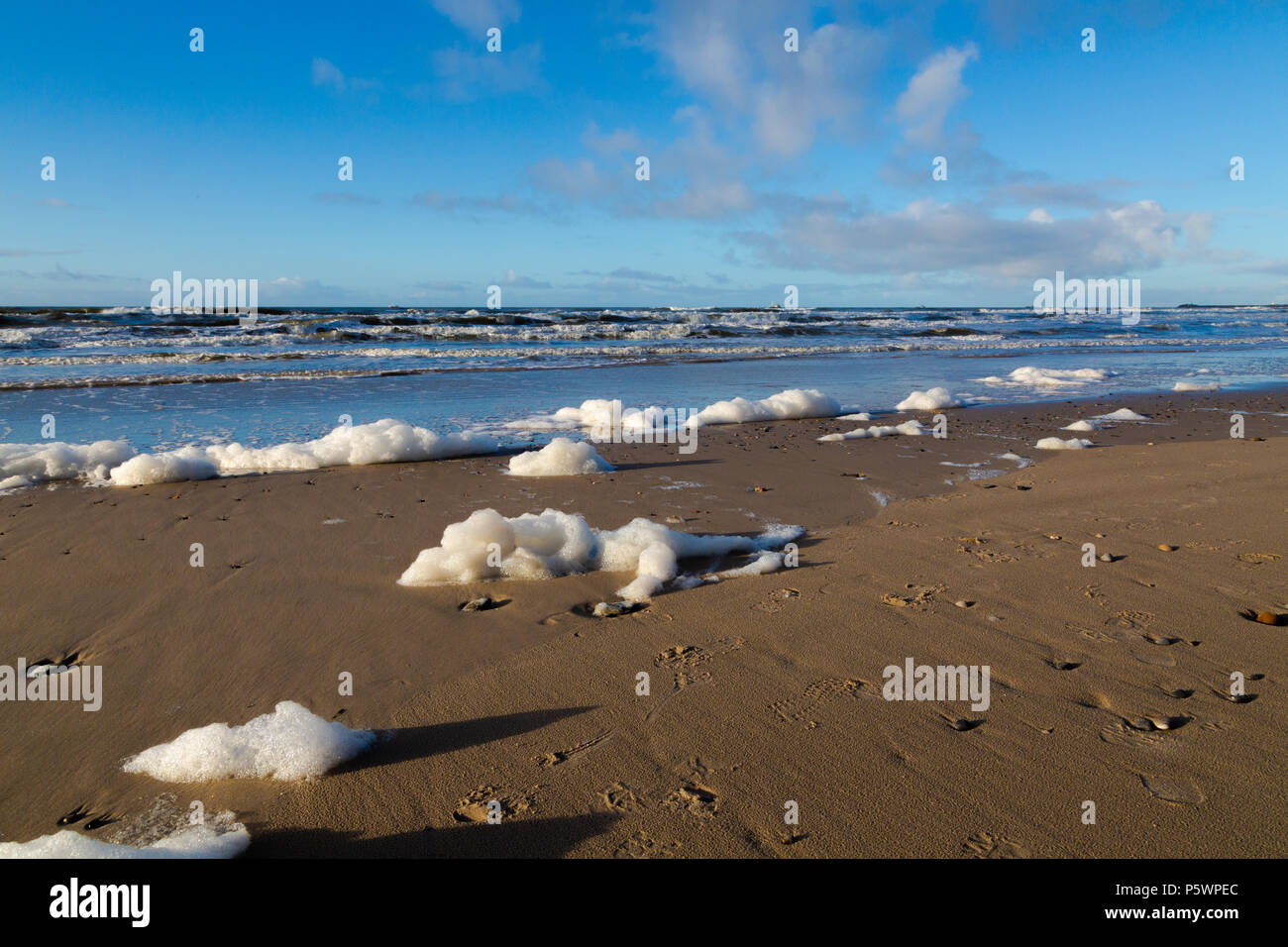 After storm in the North Sea. Sea foam on the beach in Hvide Sande, Denmark, after storm storm. Efter storm i Nordsøen. Havskum på stranden i Hvide Sa Stock Photo
