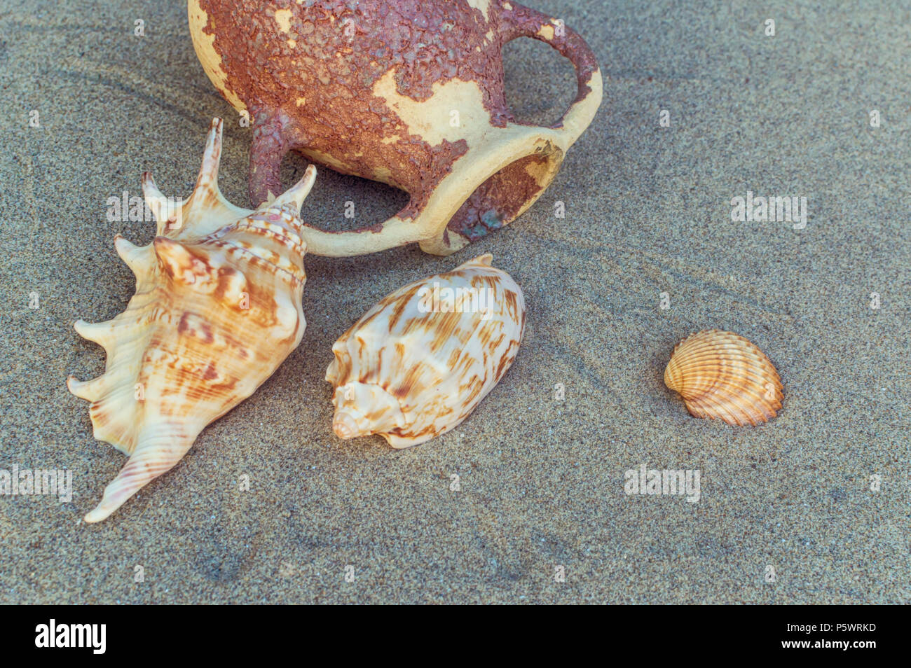 Seashells and amphora in the sand on the beach. Selective focus Stock Photo