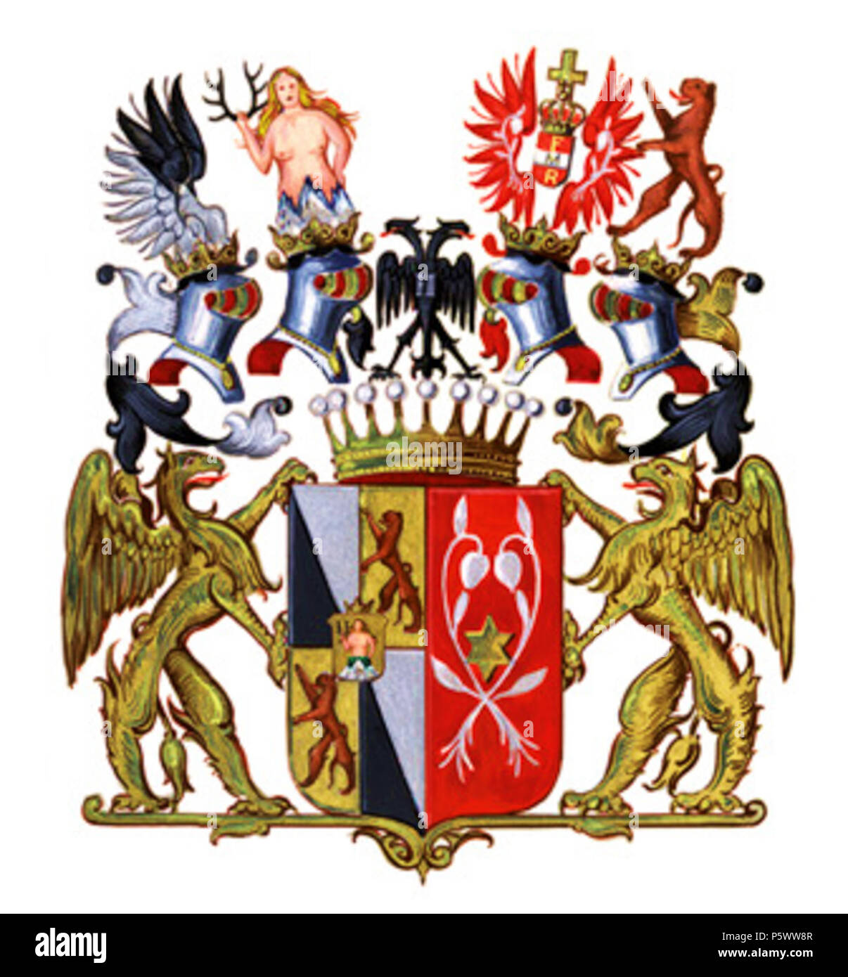 Clam martinic hires stock photography and images Alamy