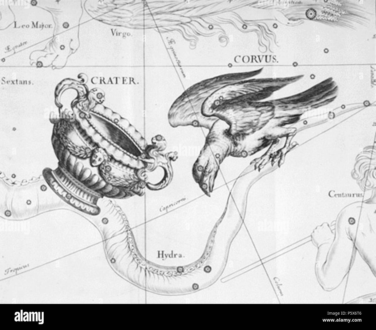 N/A. The en:Corvus (constellation) and en:Crater (constellation) constellations from Uranographia by Johannes Hevelius. The view is mirrored following the tradition of celestial globes, showing the celestial sphere in a view from 'ouside' . 1690. Johannes Hevelius - Scanned by: Torsten Bronger 2003 April 4 383 Corvus et Crater Hevelius Stock Photo