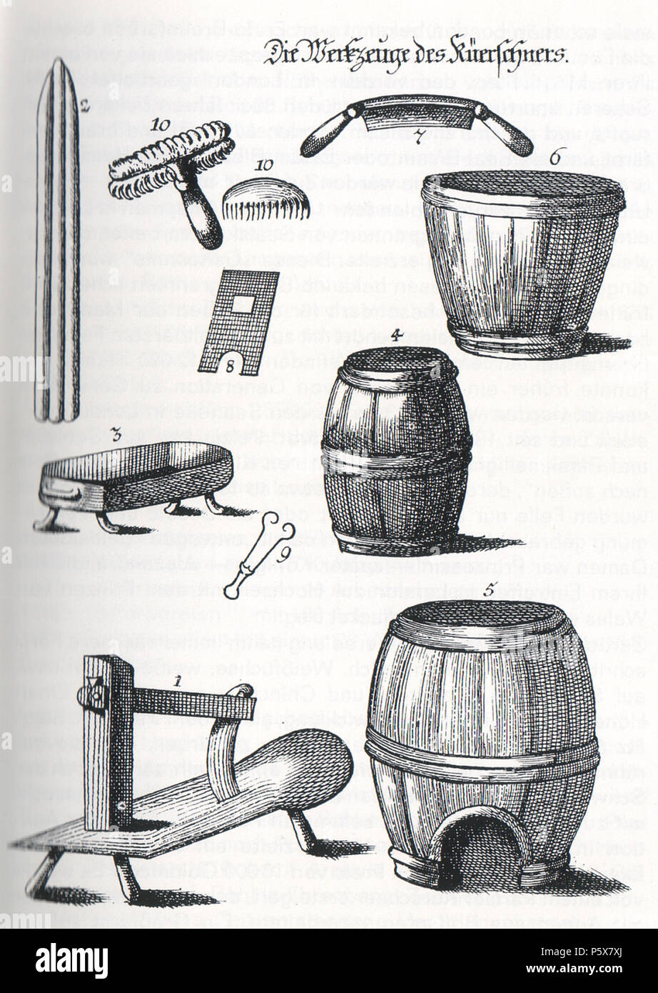 453 Die Werkzeuge des Kürschners, P. R. Sprengels, 1768 Stock Photo