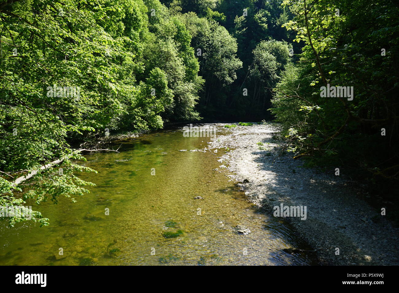 Wanderweg durch die Wutachschlucht Stock Photo