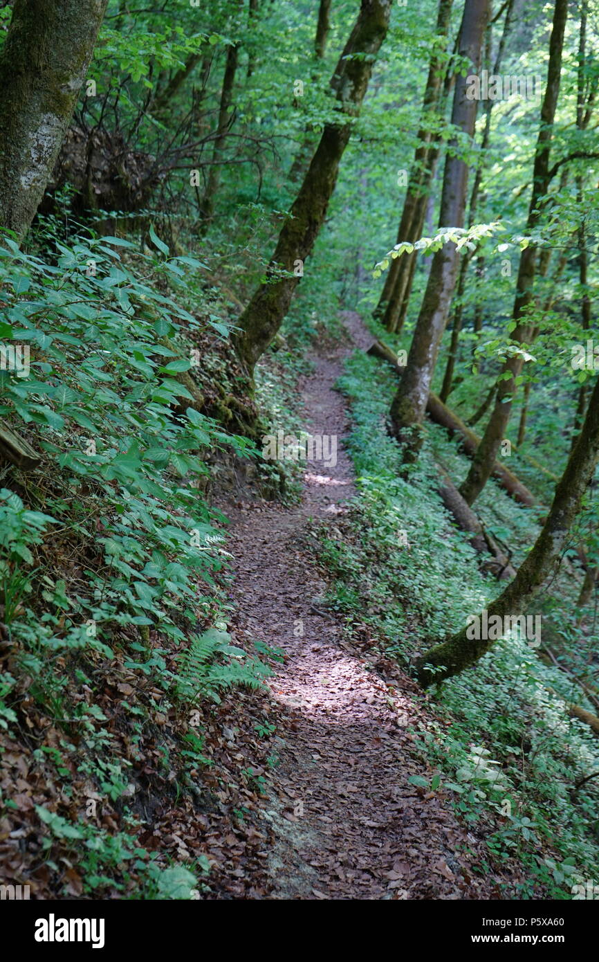 schmaler Wanderweg in der Engeschlucht, bei Bachheim, südliche Baar, Baden-Württemberg, Deutschland, Europa Stock Photo