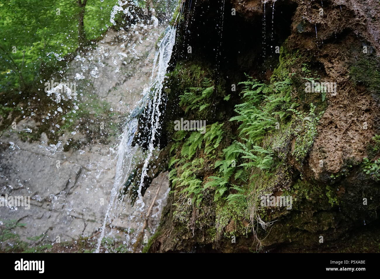 Tannegger Wasserfall, Wutachschlucht, südliche Baar, Baden-Württemberg, Deutschland, Europa Stock Photo