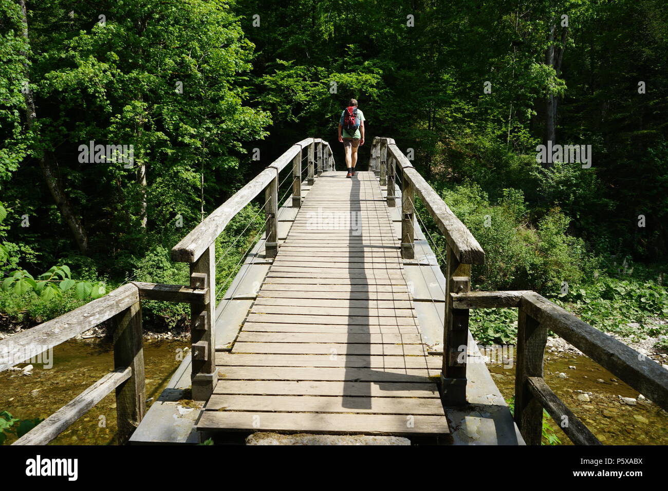 Wanderweg in der Wutachschlucht, Holzbrücke über die Wutach, südliche Baar, Baden-Württemberg, Deutschland, Europa Stock Photo