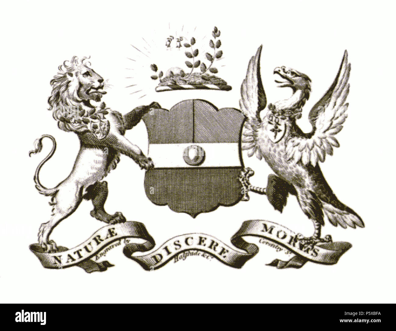 358 Coat of arms of the Linnean Society of London-renewed Stock Photo