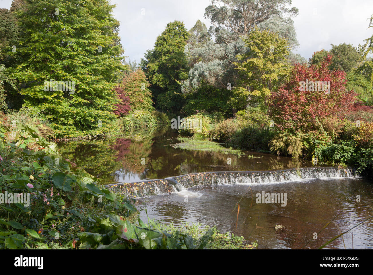 The River Vartry runs through Mount Usher Gardens in County Wicklow which is considered one of Ireland's finest gardens and arboretums Stock Photo