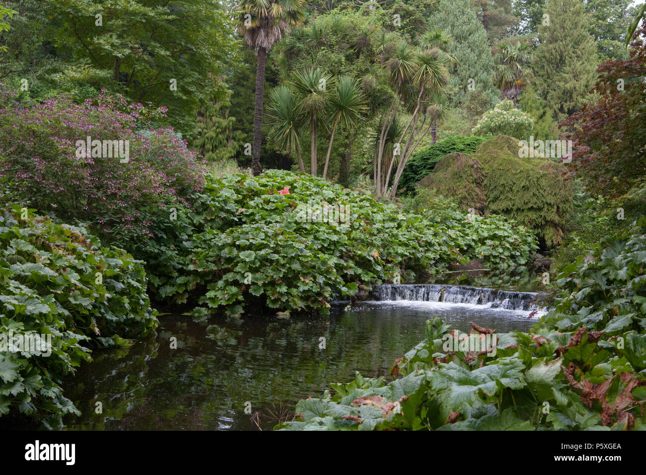 The River Vartry runs through Mount Usher Gardens in County Wicklow which is considered one of Ireland's finest gardens and arboretums Stock Photo