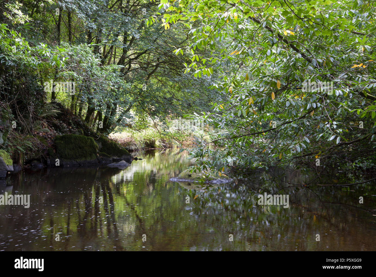 Ashford wicklow ireland hires stock photography and images Alamy