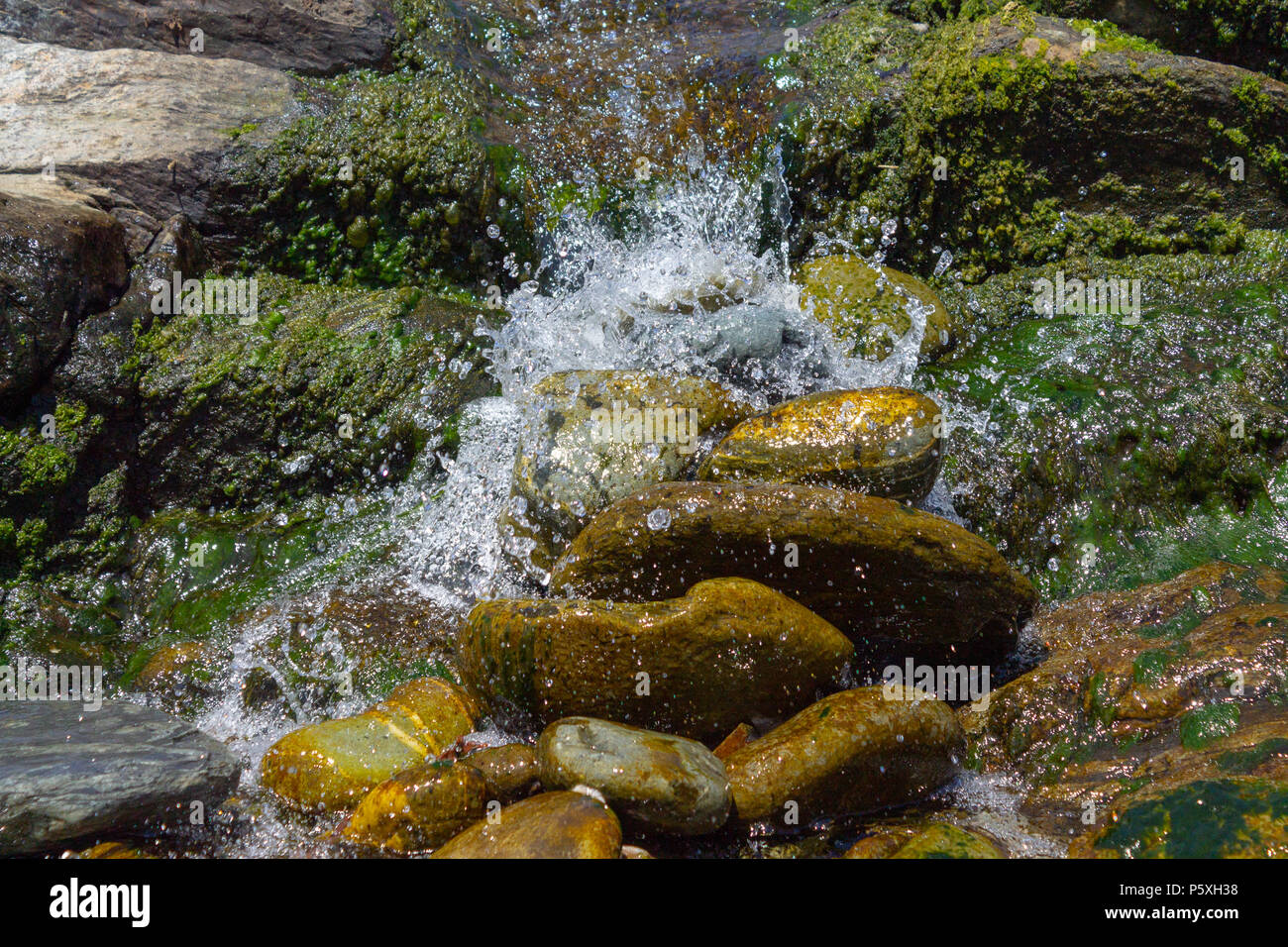 waterfall tumbling over algae covered boulders in a small clear stream. Stock Photo