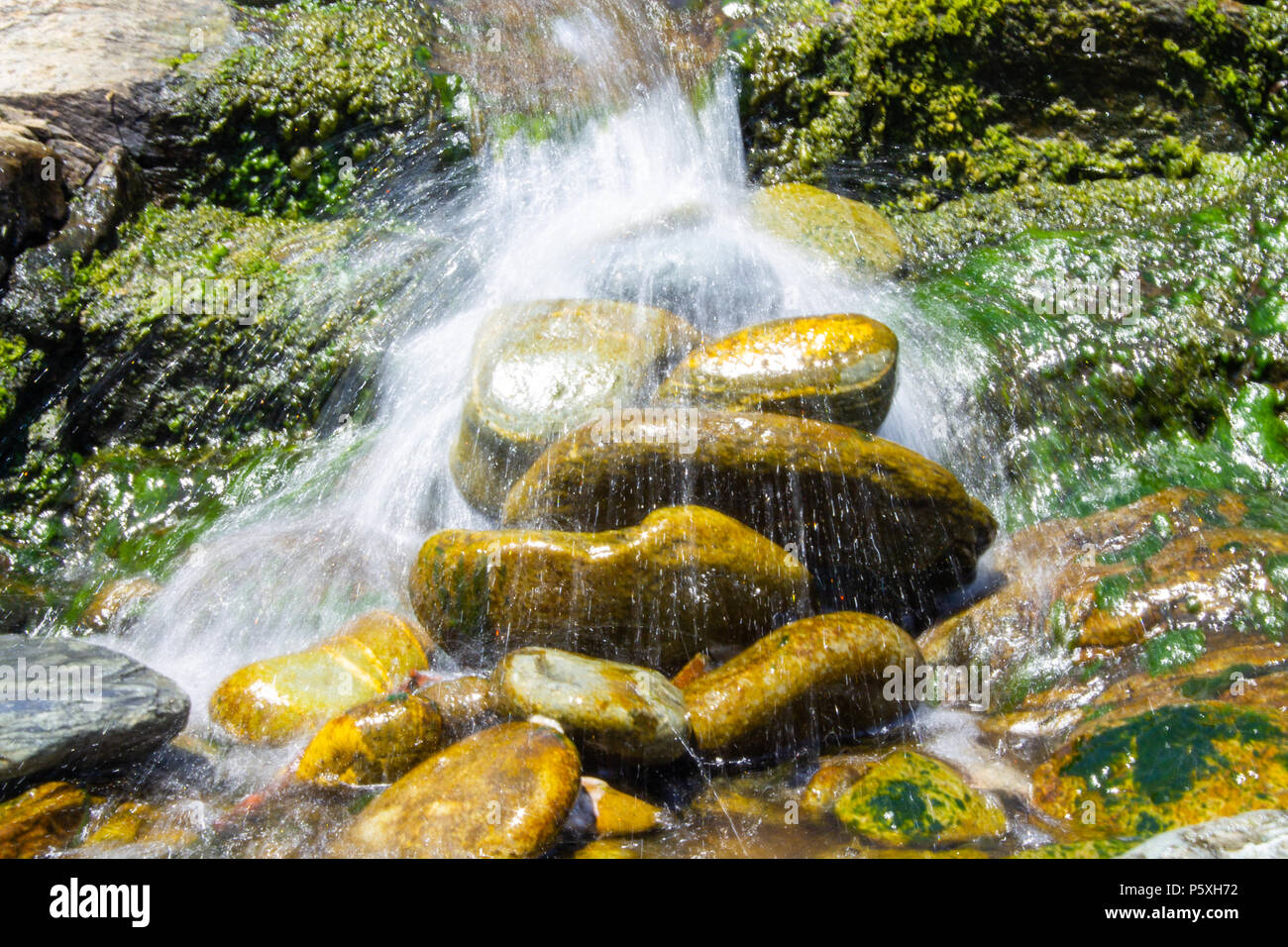 waterfall tumbling over algae covered boulders in a small clear stream. Stock Photo