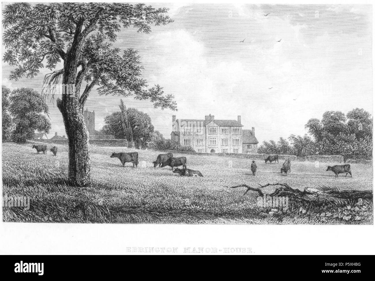 English countryside manor house Black and White Stock Photos & Images ...