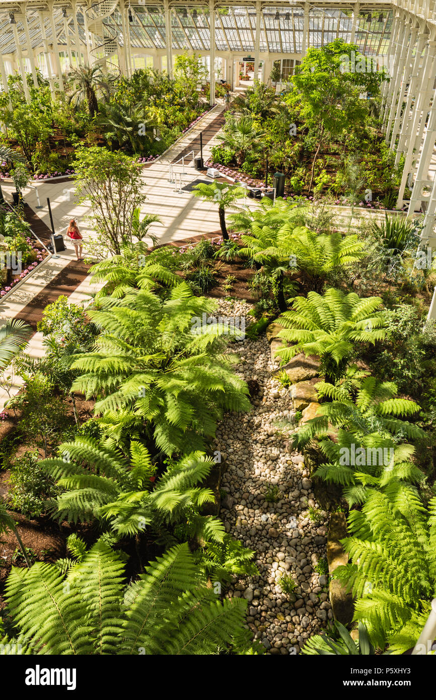 Temperate house at Kew RBG, interior view. Stock Photo