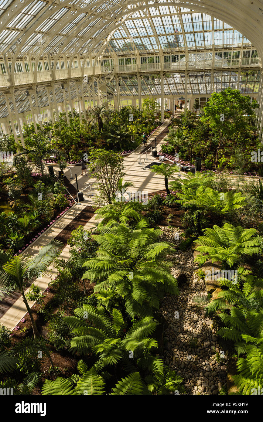 Temperate house at Kew RBG, interior view. Stock Photo