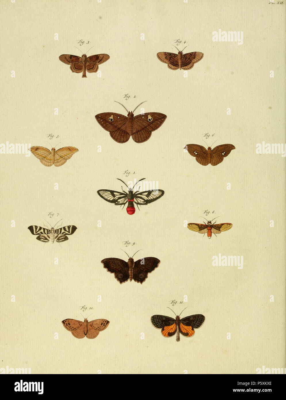 N/A. Plate XII Warning: some taxa/names may be misidentified/misapplied or placed in a different genus.  1: Sphinx Adscit[a] HÆMORRHOIDALIS ( = Aethria haemorrhoidalis (Stoll, [1790]), iconotype, see Funet). Photos on Treknature and Hétérocères de Guyane Française.  In register spelled HEMORRHOIDALIS  2: Phal[aena] Geomet[ra] EULALIA ( = Gorgone ortilia (Stoll 1781), see NHM, Global Lepidoptera Names Index).  Also on plate 165 F as [Phalaena] Ortilia.  3: Phal[aena] Noct[ua] Archadia ( = Dolichosomastis archadia (Stoll, 1790), see NHM, Global Lepidoptera Names Index.  Errors in register, see p Stock Photo