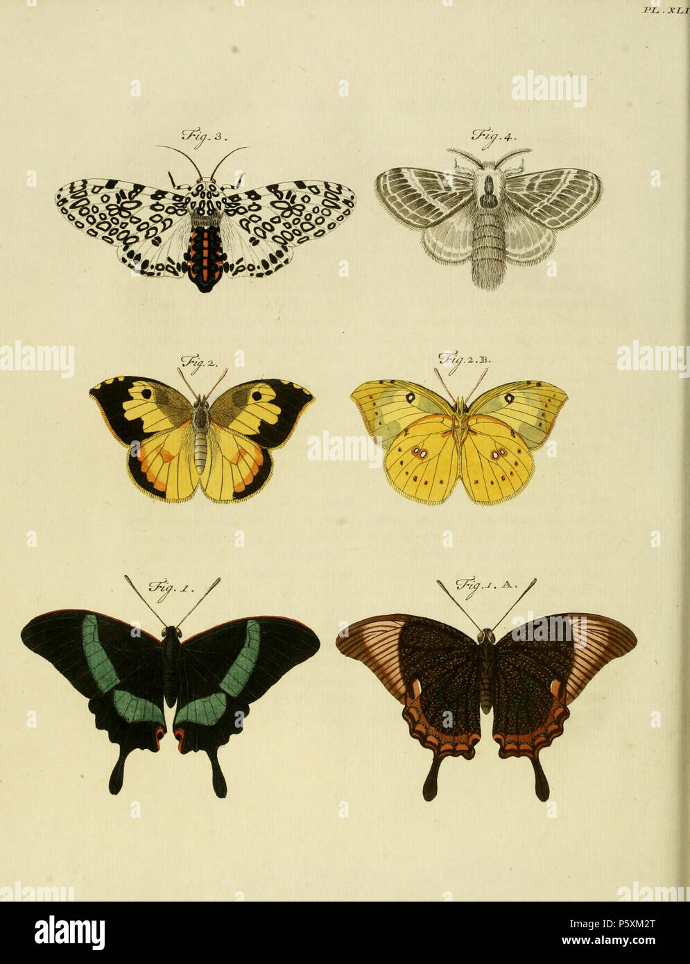 N/A. Plate XLI Warning: some taxa/names may be misidentified/misapplied ...