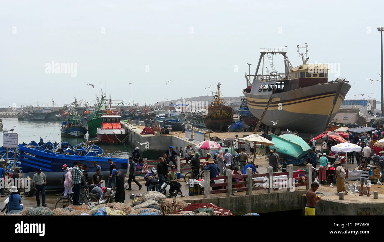 The crowded fishing port of Essaouira in Morocco.  Fish are landed, sold, cooked and eaten all on the quayside Stock Photo