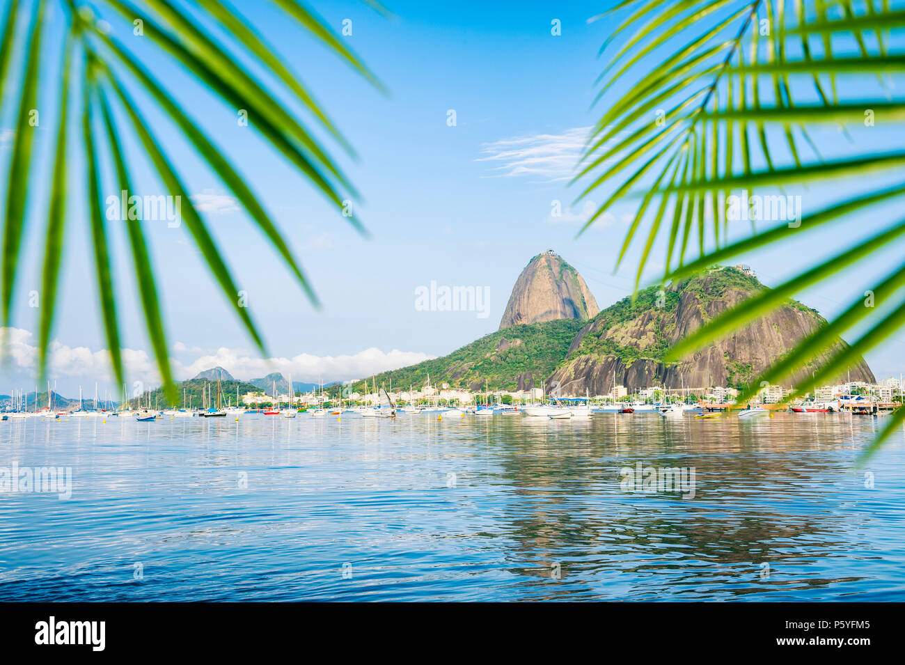 Scenic view of Sugarloaf Mountain in Rio de Janeiro Brazil from Botafogo Bay framed by palms Stock Photo