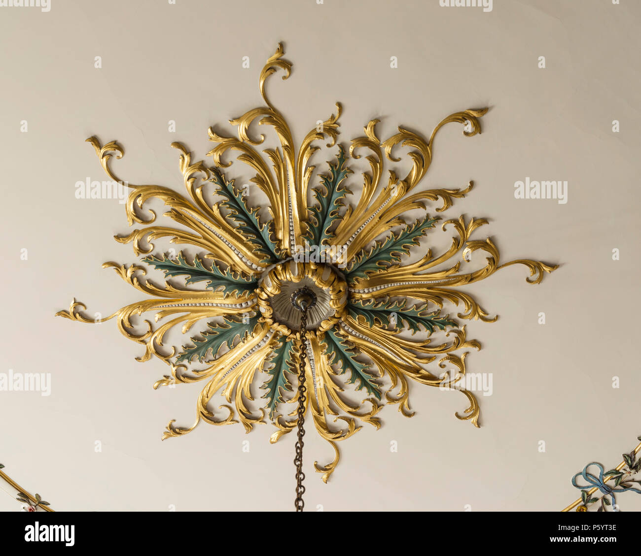 ornate-ceiling-rose-P5YT3E.jpg