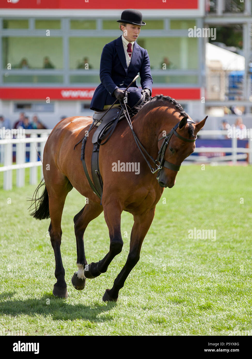 Sidesaddle hires stock photography and images Alamy