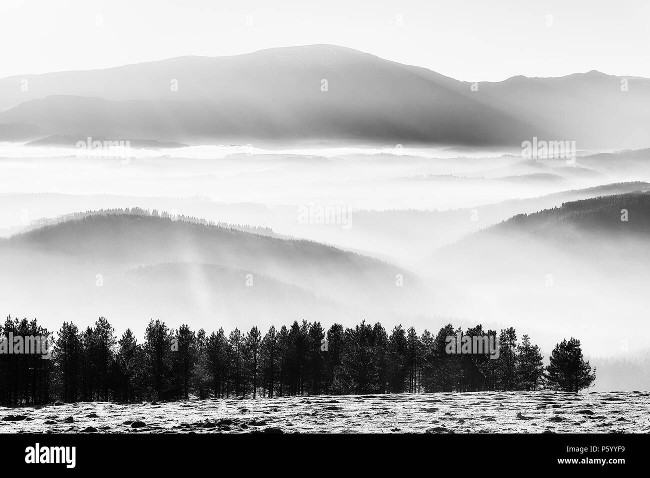 Morning fog in the valley with misty mountains. Black and white Stock Photo