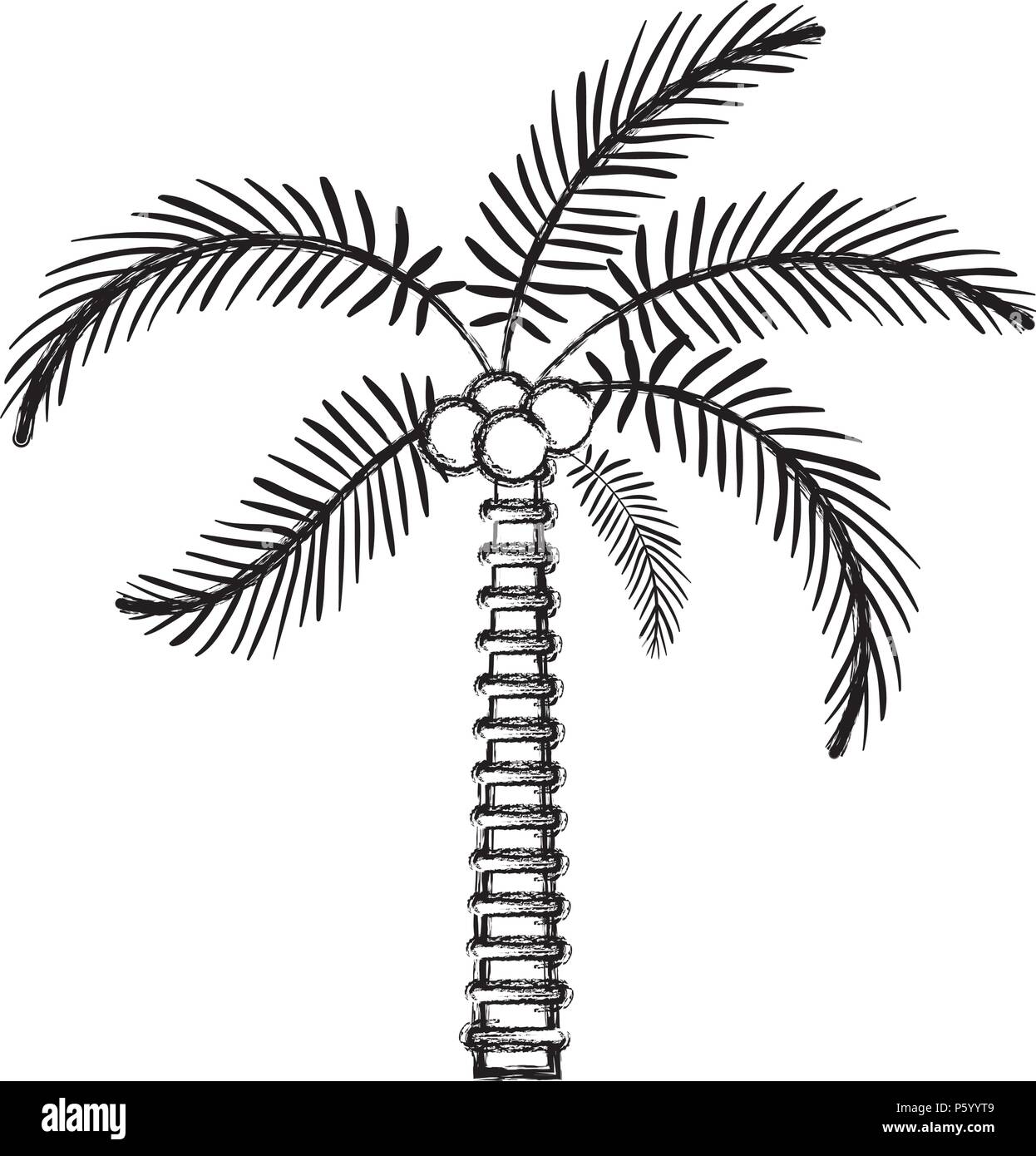 tree palm natural icon Stock Vector Image & Art - Alamy