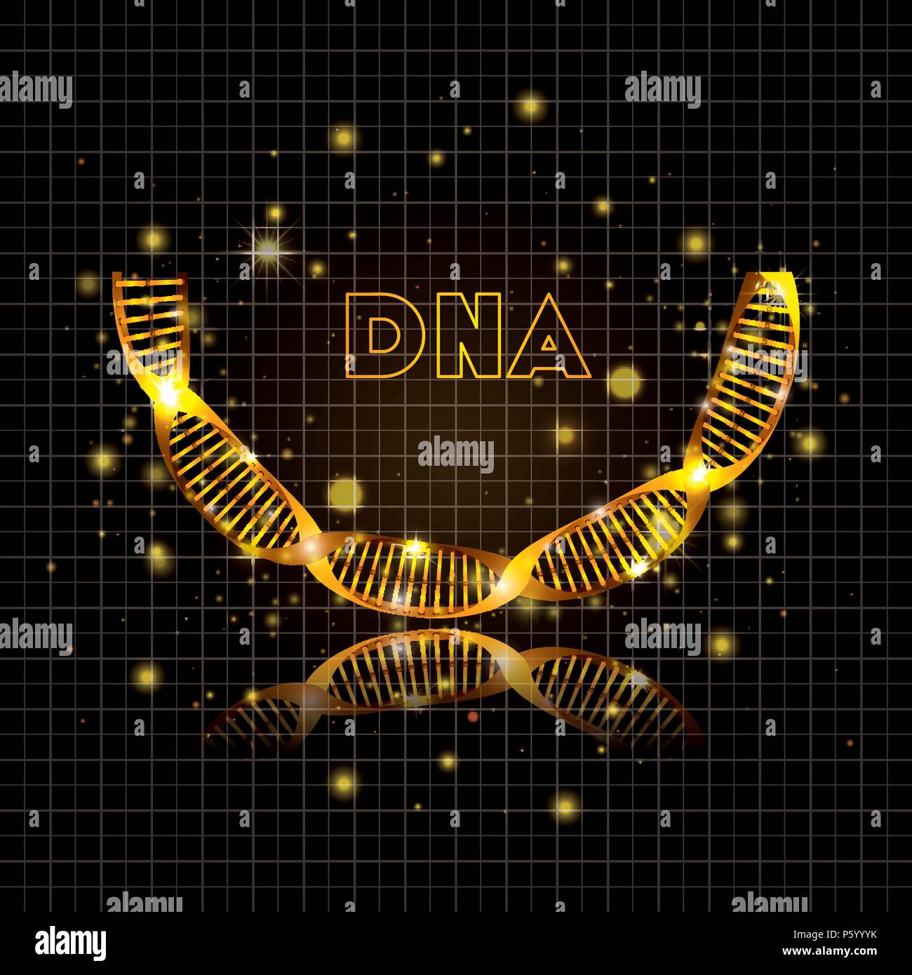 dna molecule half circle golden structure Stock Vector Image & Art - Alamy
