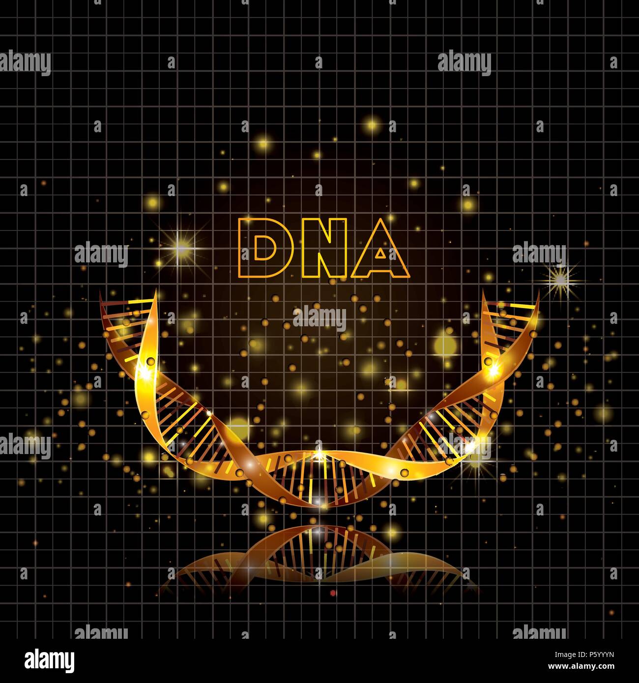 dna molecule half circle golden structure Stock Vector Image & Art - Alamy