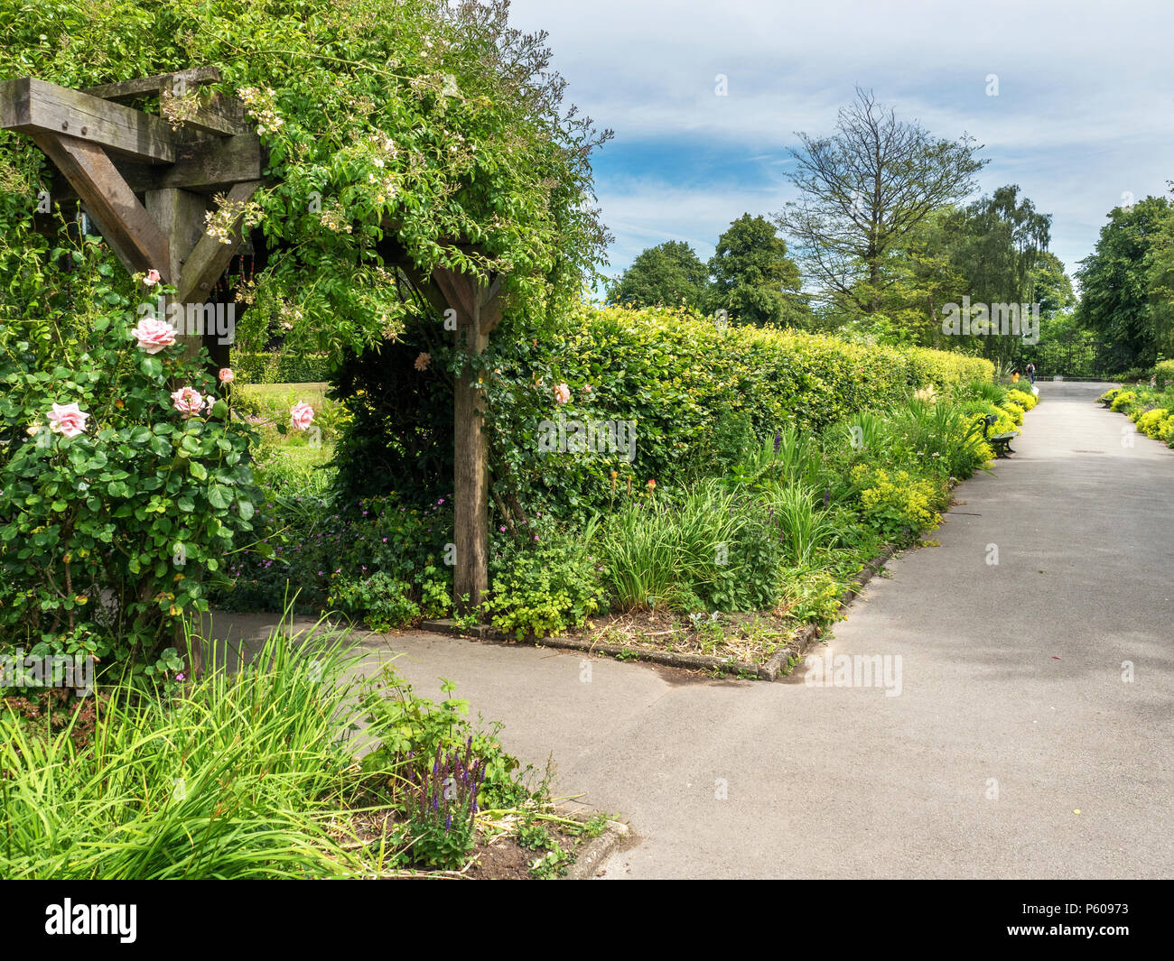 Pergola with roses and herbaceous border at Rowntree Park in York Yorkshire England Stock Photo