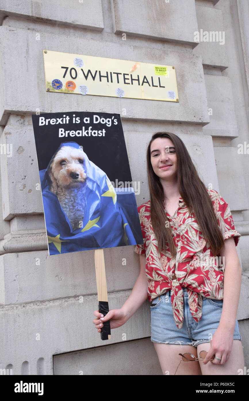 Anti Brexit demo, London 23 June 2018 UK. Campaign for a People's Vote on the final Brexit deal. Protest at the Cabinet Office at 70 Whitehall Stock Photo