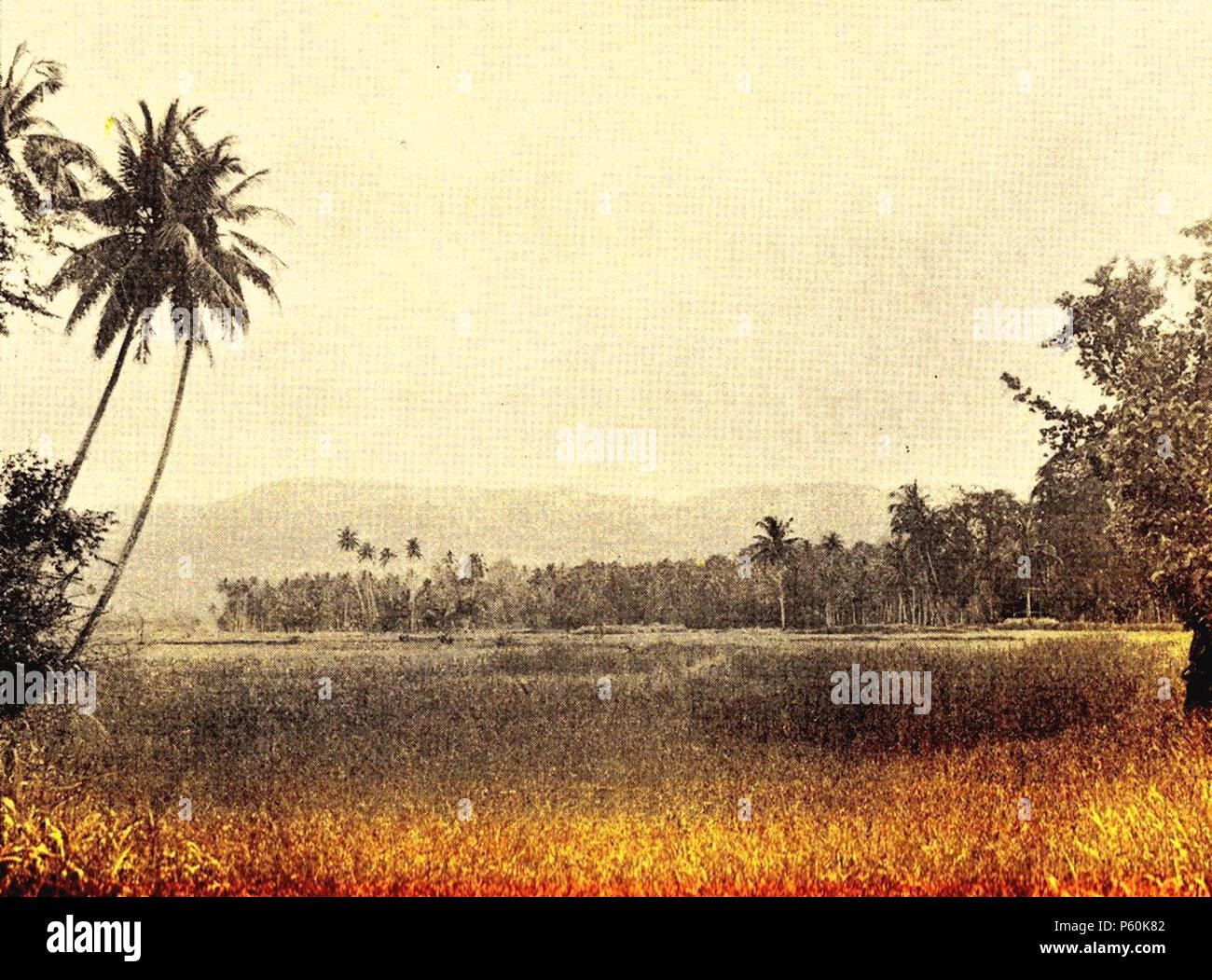 N A English Gevechtsterrein Te Atjeh 1930 Nvt 470 Drassige Sawah Als Gevechtsterrein Stock Photo Alamy