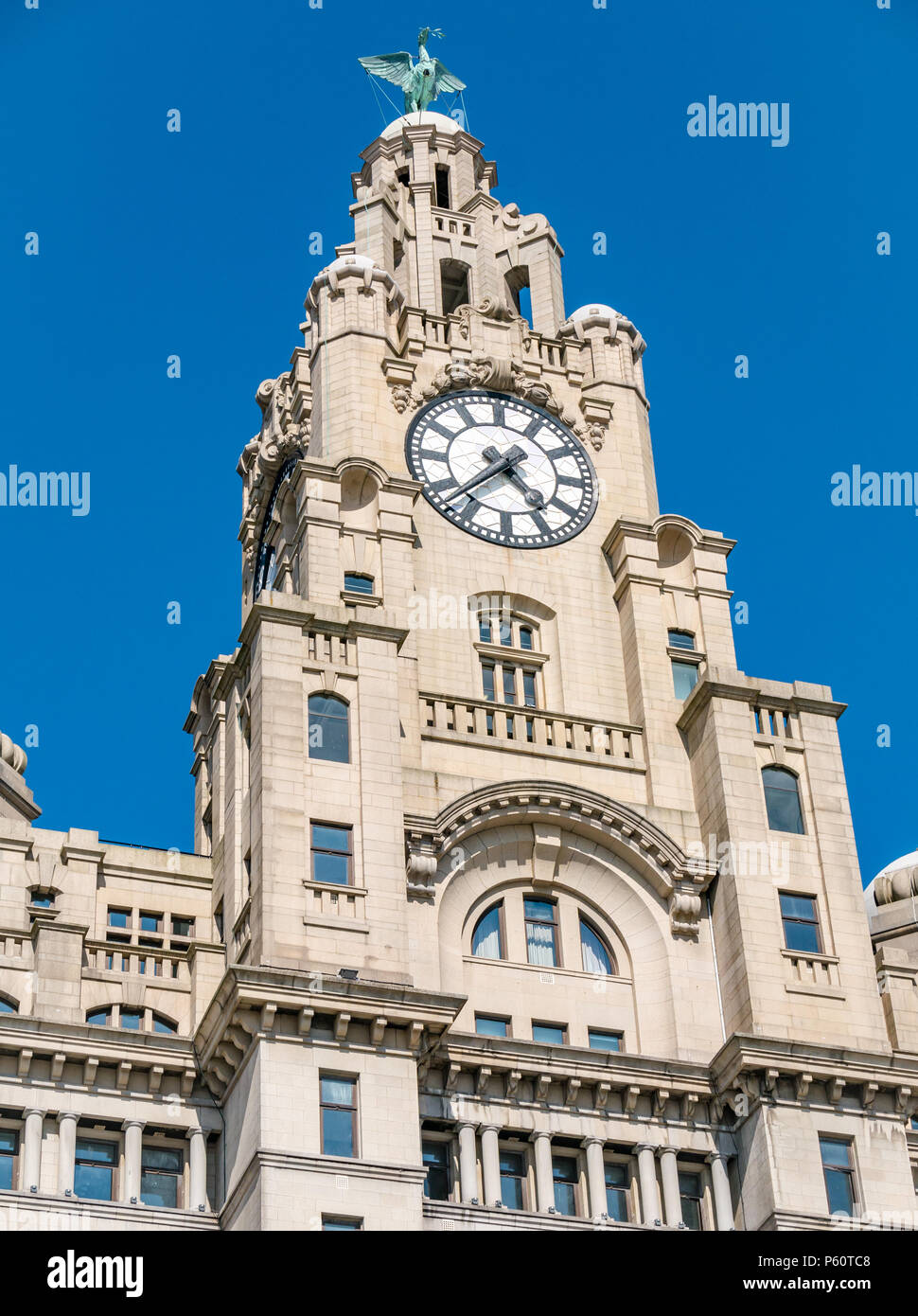 View of one of Three Graces, Royal Liver building, Pier Head, Liverpool, England, UK with largest UK clock and cormorant Liver bird Stock Photo