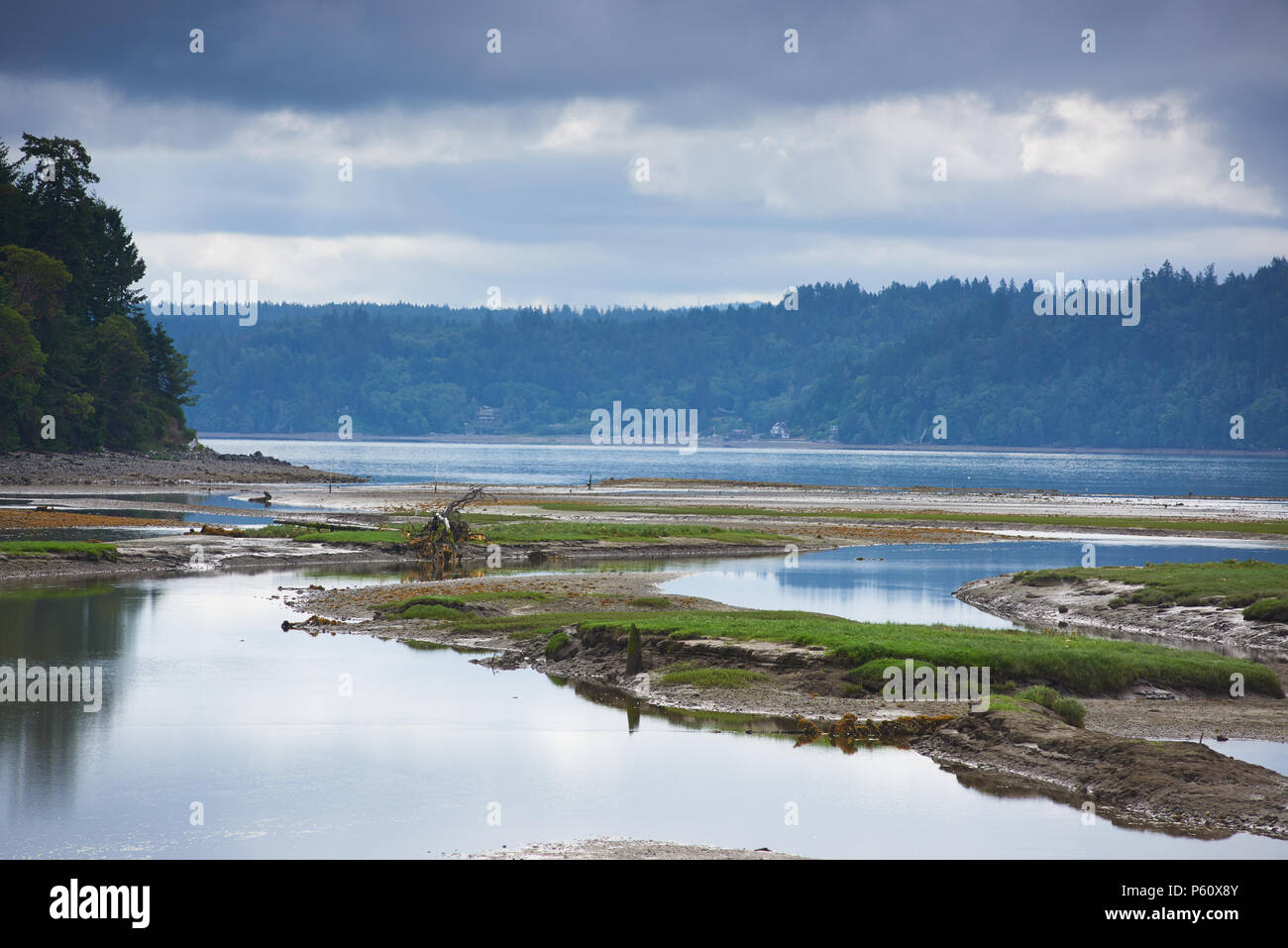 Low tide at the mouth of the Hama Hama River, Hood Canal, Washington. Stock Photo