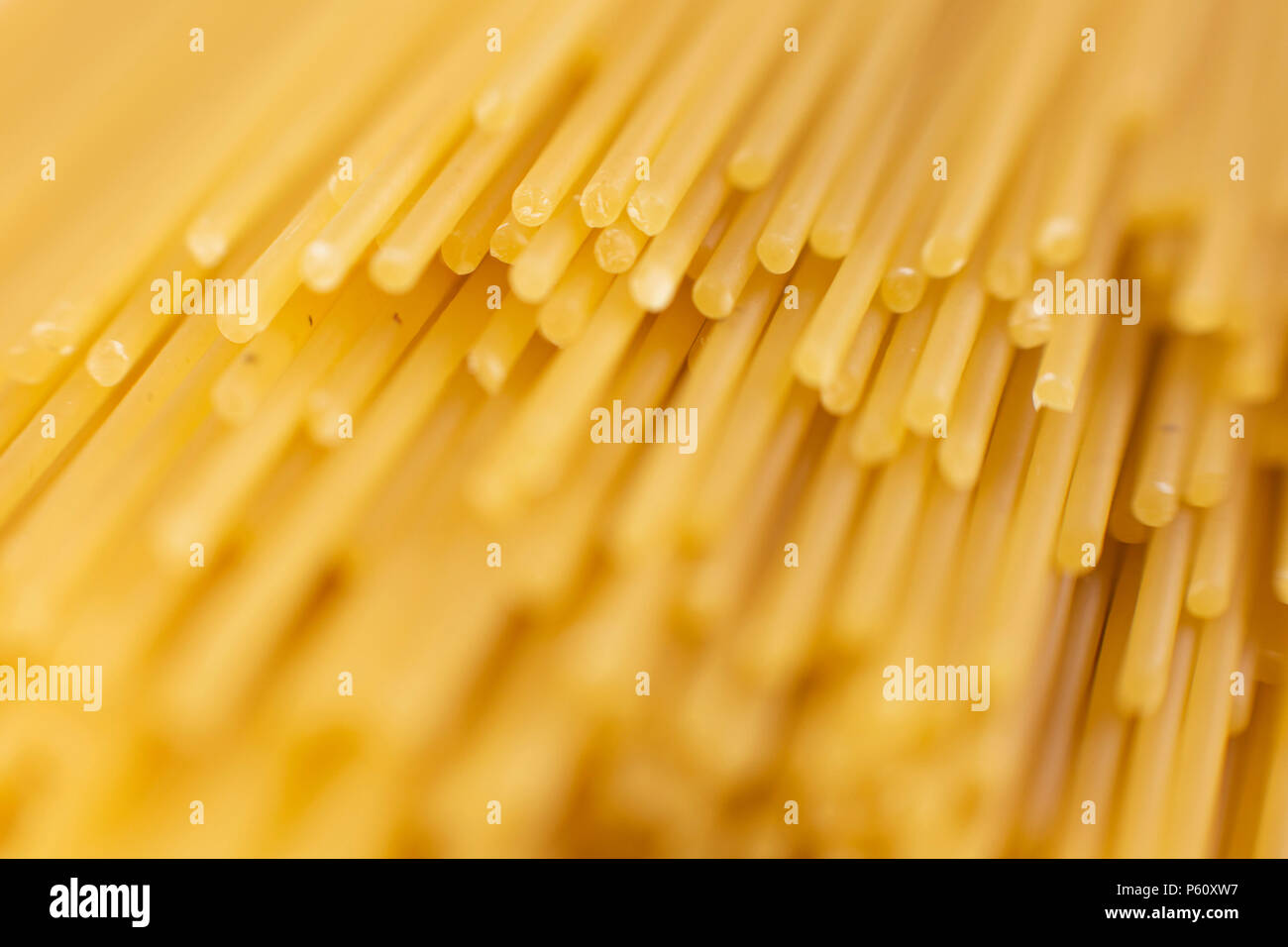 spaghetti tied with a brown thread. On a white background Stock Photo ...