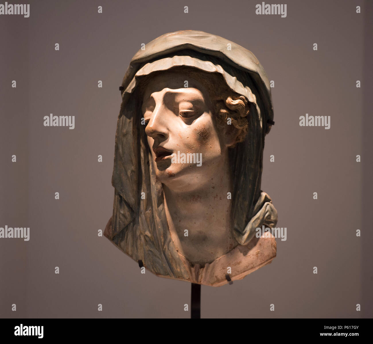 Attributed to anna morandi manzolini hires stock photography and