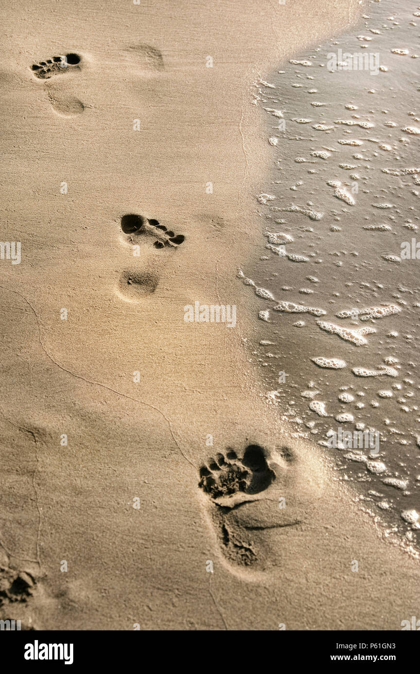Close Up Footprints Hi res Stock Photography And Images Alamy close-up-footprints-hi-res-stock-photography-and-images-alamy