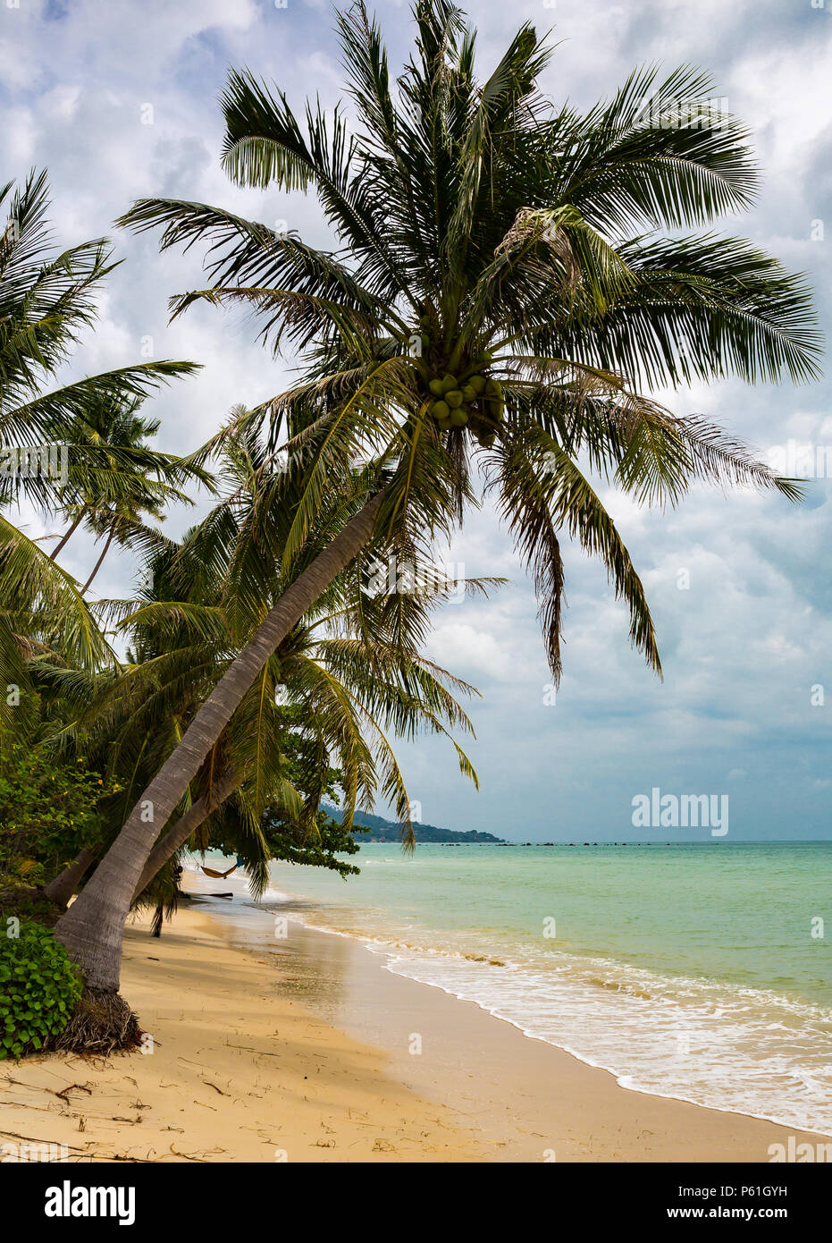 The coast of Koh Samui Stock Photo - Alamy