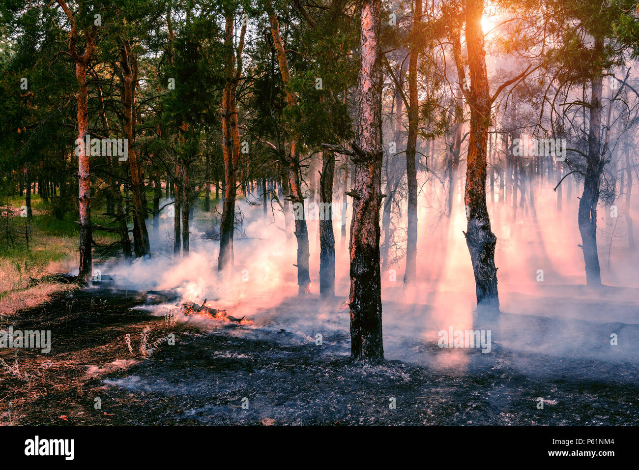 Wood Smoke Pollution High Resolution Stock Photography and Images Alamy