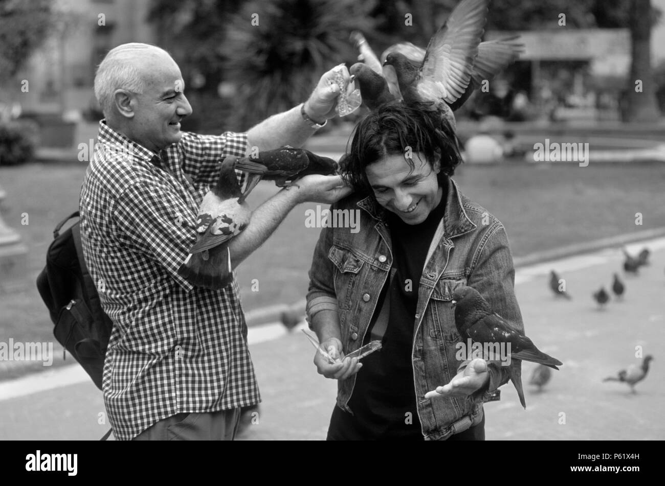 MEN FEEDING PIGEONS in PLAZA DE MAYO in the MICROCENTER district - BUENOS AIRES, ARGENTINA Stock Photo
