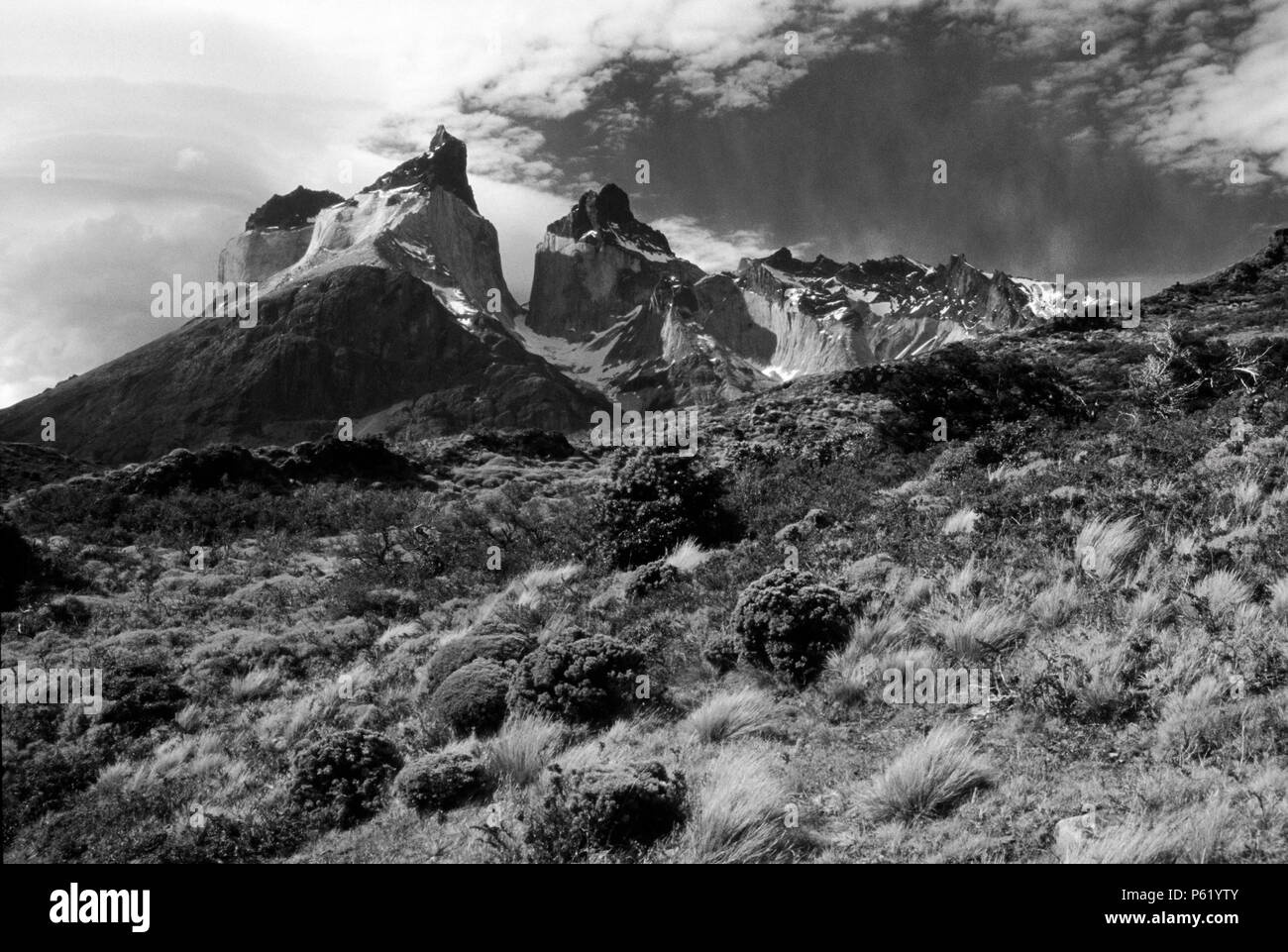 CUERNOS DEL PAINE (THE HORNS OF PAINE) in TORRES DEL PAINE NP - PATAGONIA, CHILE Stock Photo