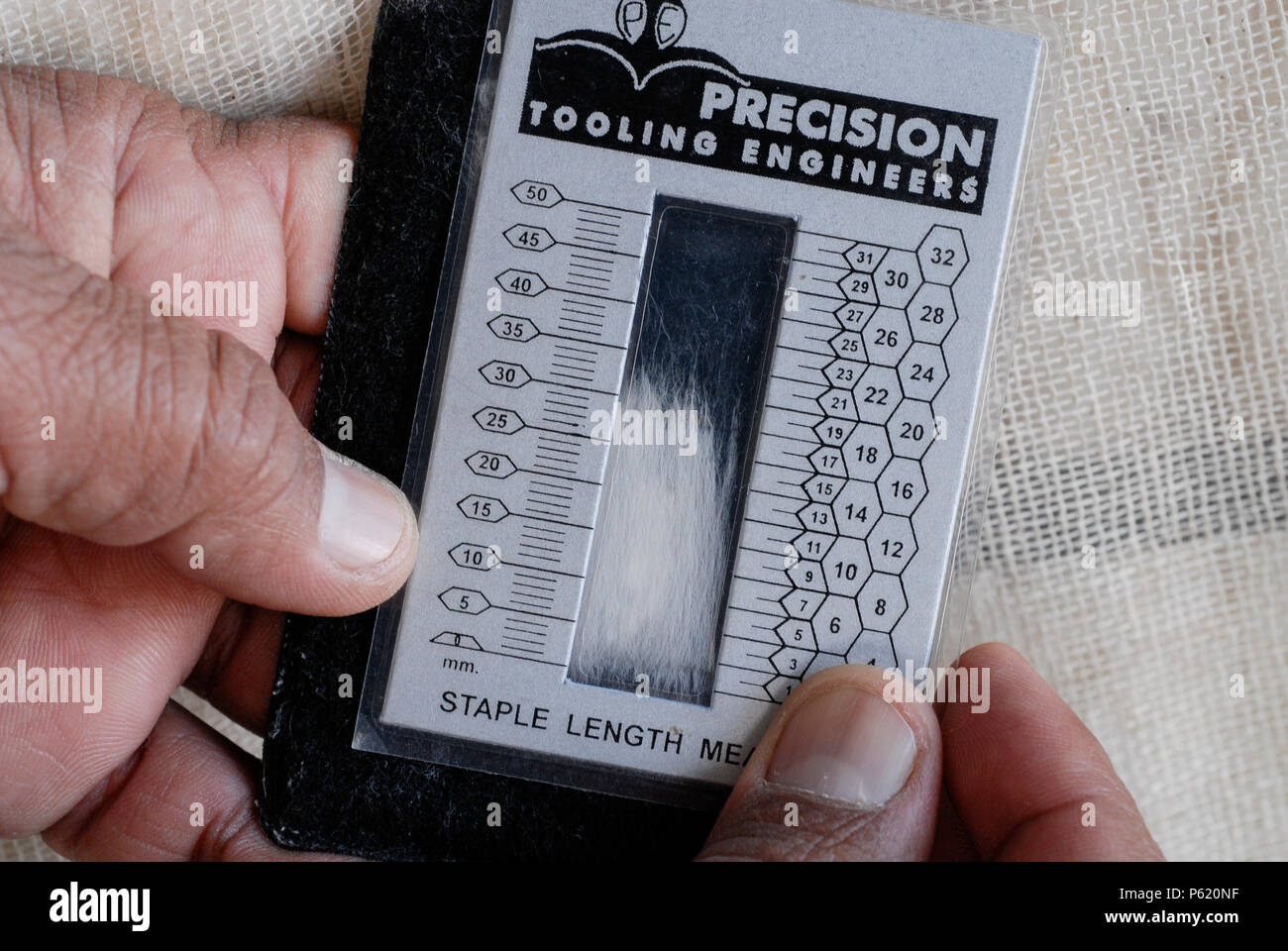 INDIA Madhya Pradesh , biodynamic organic cotton project in Kasrawad