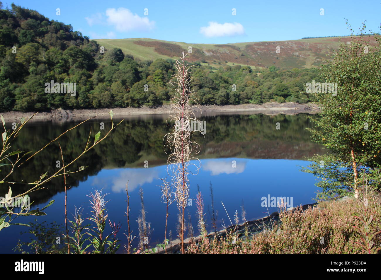 early autumn sunshine Garreg Ddu Reservoir, Elan Valley, Powys, Wales, UK Stock Photo