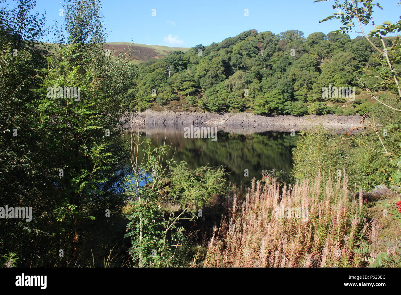 Early autumn sunshine, Garreg Ddu reservoir, Elan Valley, Powys, Wales, UK Stock Photo